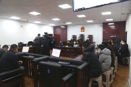 东营广饶黑社会性质组织担保业务覆灭记 正义判决背后的法治力量